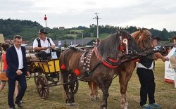 VIII Amatorski Konkus Powożenia Zaprzęgami Konnymi, Ujanowice 24.07.2016
