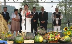 Gminne Dożynki - Święto Plonów w Gminie Laskowa, 21.08.2016