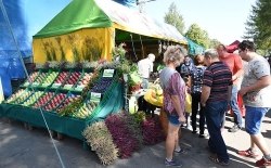 Międzynarodowa Wystawa Rolnicza Agropromocja 2017; Nawojowa, 9-10.09.2017r.