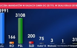 Wynik wyborczy PiS